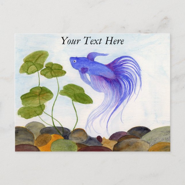 Betta Fish Postcard (Front)