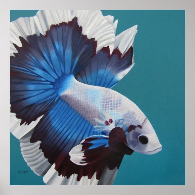 Betta Fish Poster (Front)