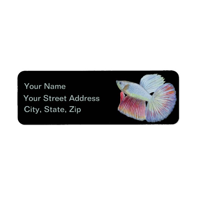 Betta Fish Return Address Label (Front)