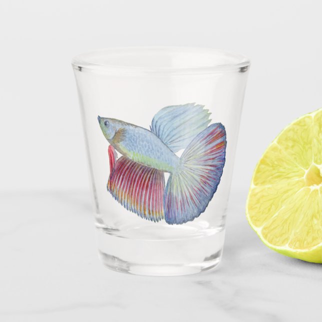 Betta Fish Shot Glass (Front)