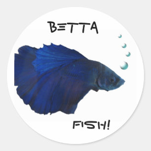 Betta Fish Sticker
