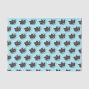 Betta Fish Tissue Paper