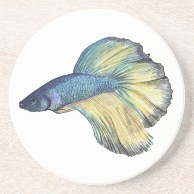 Betta Fish Watercolor Coaster (Front)