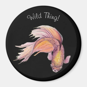 Betta Magnet
