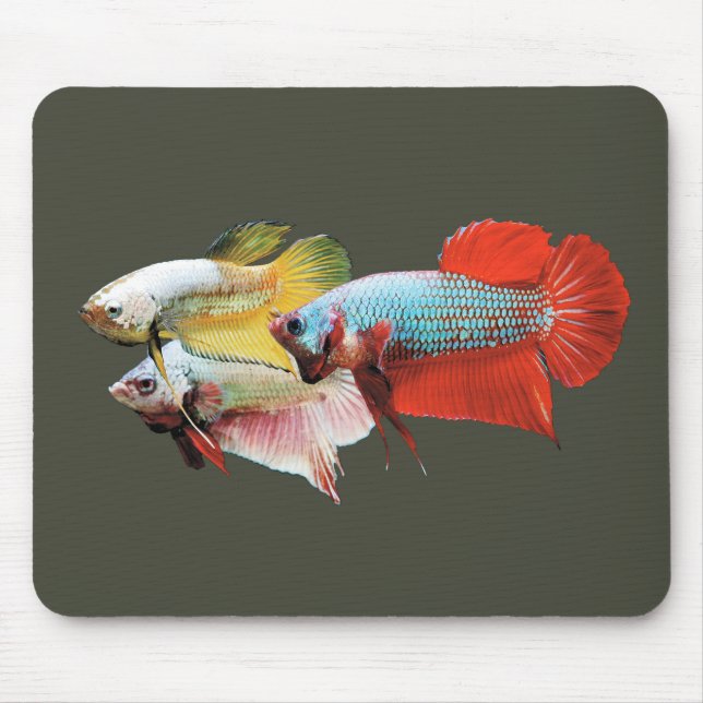 Betta Mouse Pad (Front)