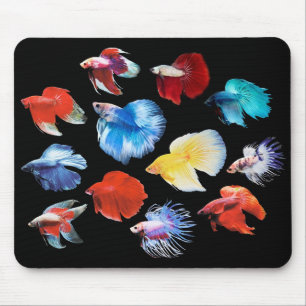 Betta Mouse Pad