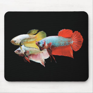 Betta Mouse Pad