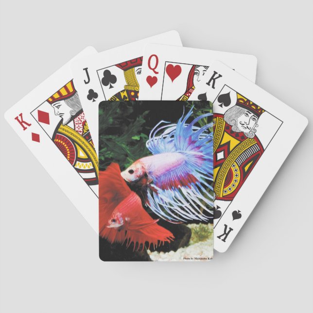 Betta Playing Cards (Back)