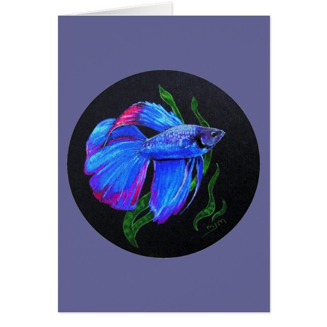 BETTA!!! Siamese Fighting Fish (Front)