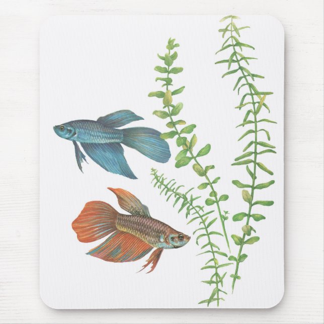 Betta splendens and Rotala indica White Mouse Pad (Front)