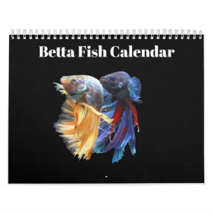 Bettafish 2025 calendar