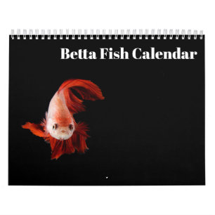 Bettafish 2026 calendar