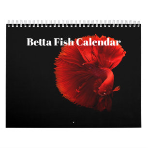 Bettafish 2027 calendar