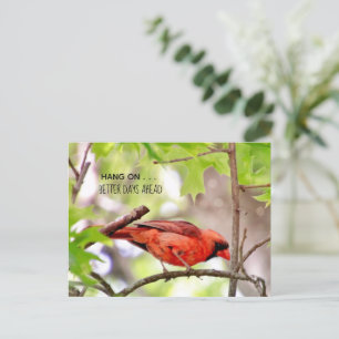 Better Days Are Coming Postcard