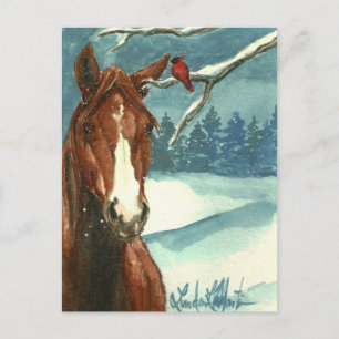 Between Friends Wild Horse Post Card