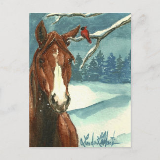 Between Friends Wild Horse Post Card