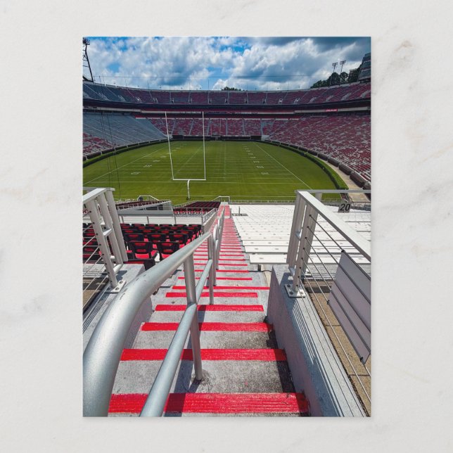 Between the Hedges   Postcard (Front)