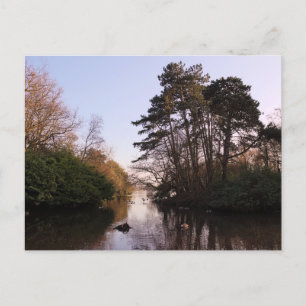 Between The Islands, Roath Park Lake, Cardiff. Postcard