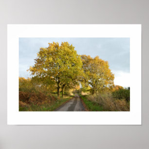 Between the Oaks: Rural Cheshire  Poster