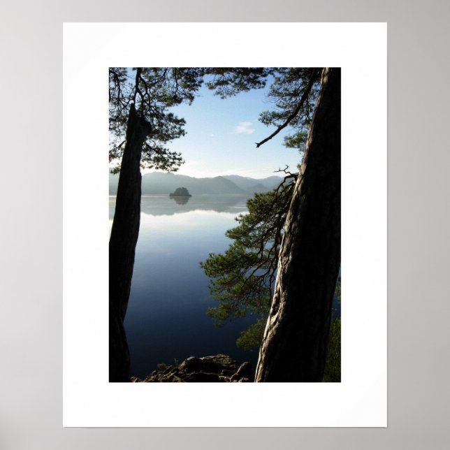 Between the Pines - Derwentwater Poster (Front)