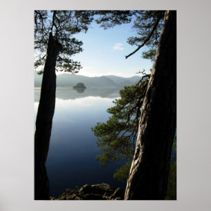 Between the Pines Poster