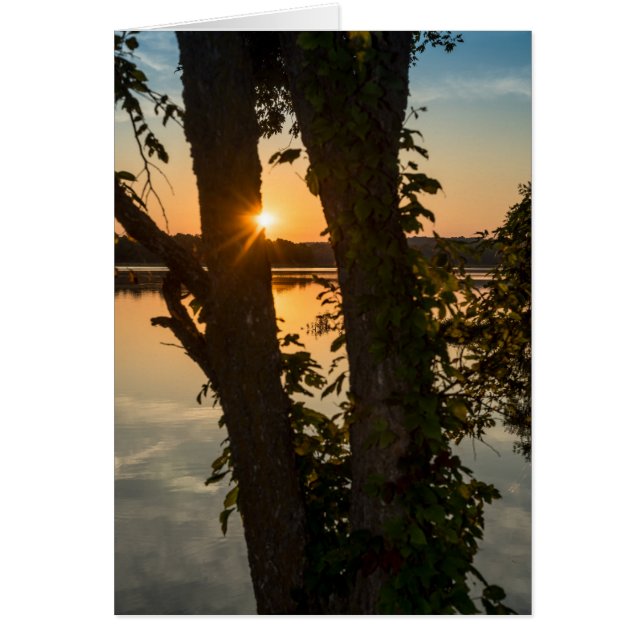 Between The Trees Sunrise Greeting Card (Front)