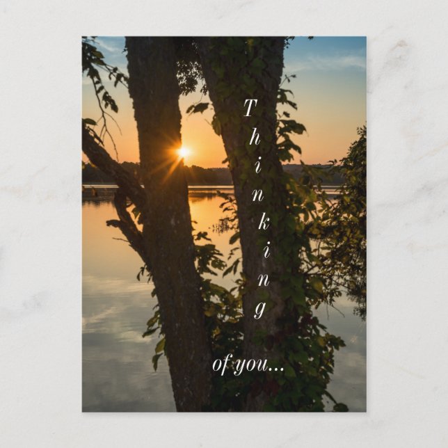 Between The Trees Sunrise Thinking Of You Postcard (Front)