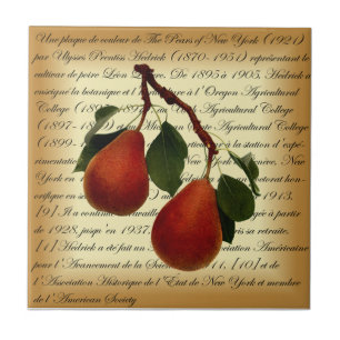 Beurré Clairgeau Pear ~ Ulysses Prentiss Hedrick ~ Ceramic Tile