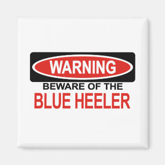 Beware Of Blue Heeler Magnet