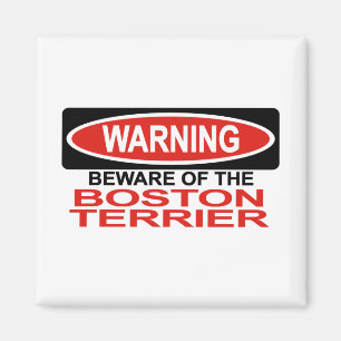 Beware Of Boston Terrier Magnet