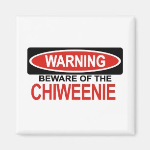 Beware Of Chiweenie Magnet