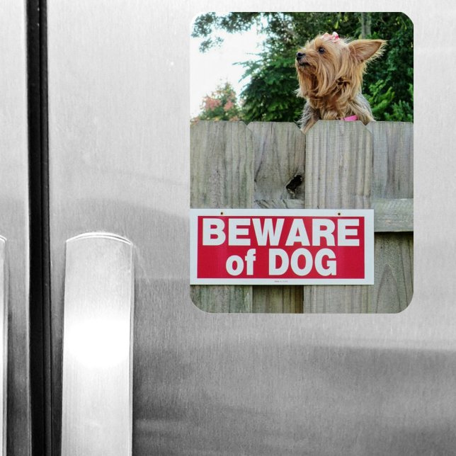 Beware of Cute Little Yorkie Dog Magnet (Creator Uploaded)