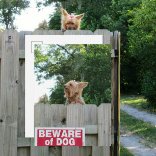 Beware of Cute Little Yorkie Dog Postcard
