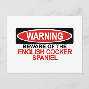 Beware Of English Cocker Spaniel Postcard
