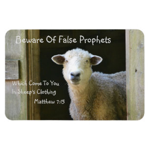Beware Of False Prophets Magnet