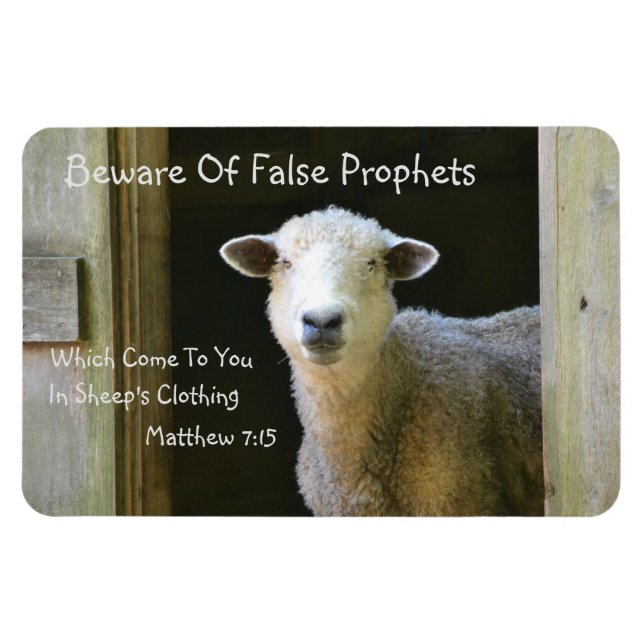 Beware Of False Prophets Magnet (Horizontal)