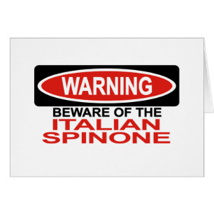 Beware Of Italian Spinone