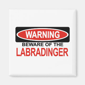 Beware Of Labradinger Magnet