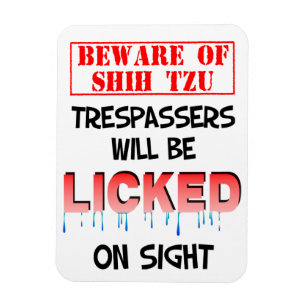 "Beware of Shih Tzu" Magnet (White)