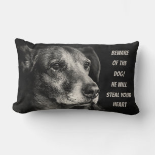 Beware of the dog, custom pet photo lumbar cushion