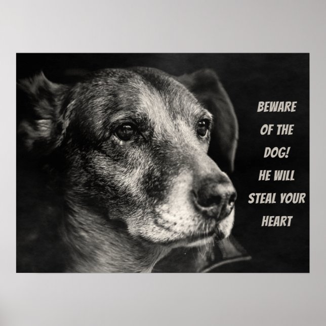 Beware of the dog, custom pet photo poster (Front)