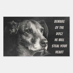 Beware of the dog, custom pet photo rectangular sticker