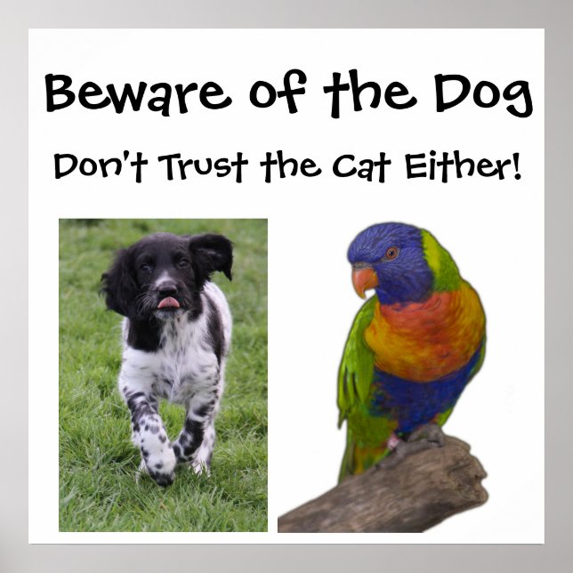 Beware of the dog. Don't trust the cat either! Poster (Front)