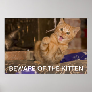 Beware of the Kitten Poster
