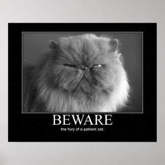Beware the Fury of a Patient Cat Artwork Poster