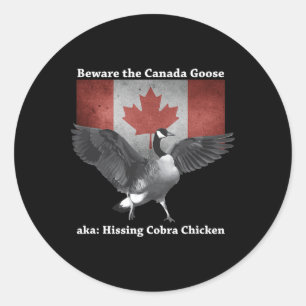Beware The Hissing Cobra Chicken Aka Canadian Goos Classic Round Sticker