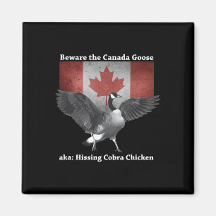 Beware The Hissing Cobra Chicken Aka Canadian Goos Magnet