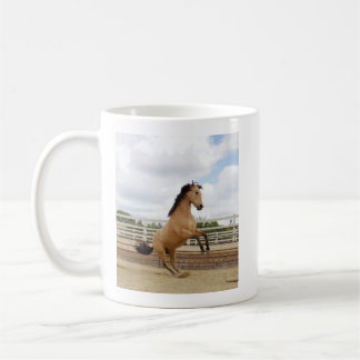 Beware the little buckskin mug