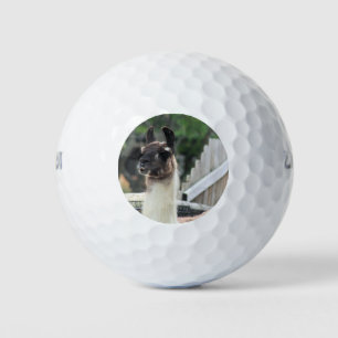 Beware the llama! golf balls