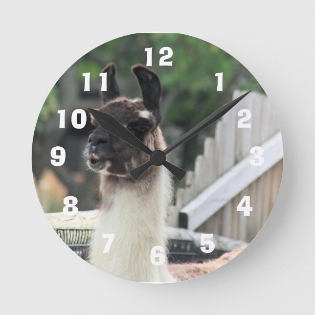 Beware the llama! round clock (Front)